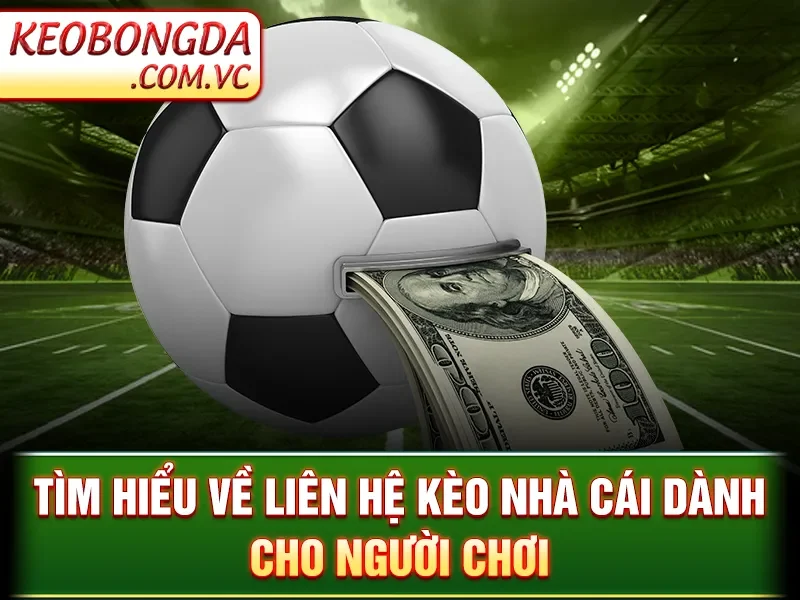 Tìm hiểu về liên hệ kèo nhà cái dành cho người chơi