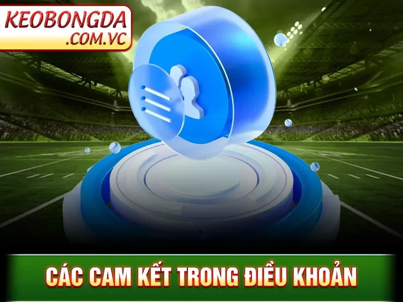 Điều Khoản Sử Dụng Kèo Bóng Đá - Các cam kết trong điều khoản